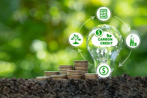 carbon credit blockchain
