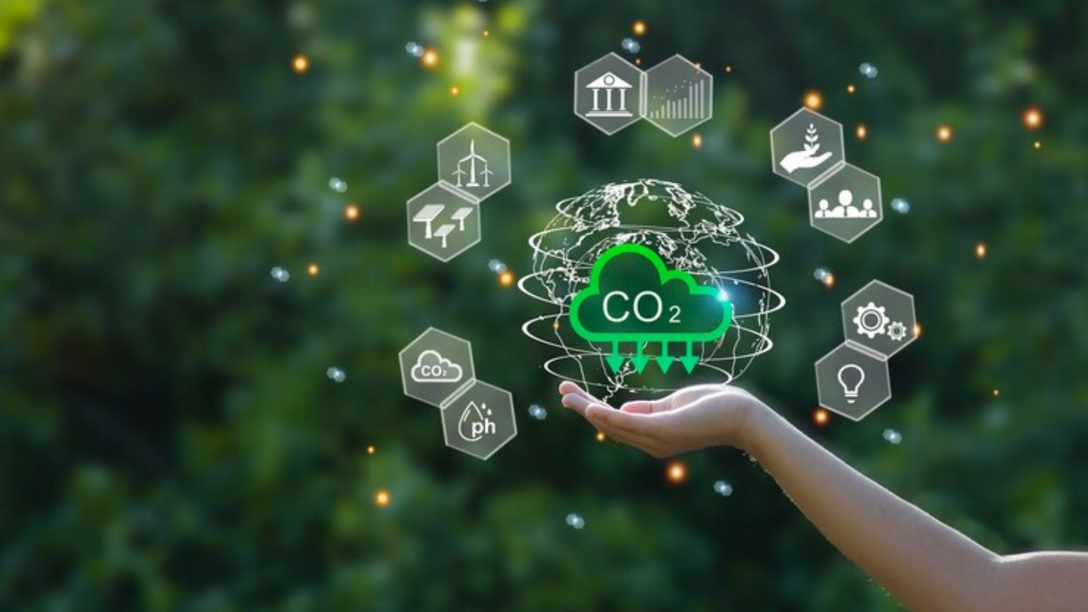blockchain carbon credits
