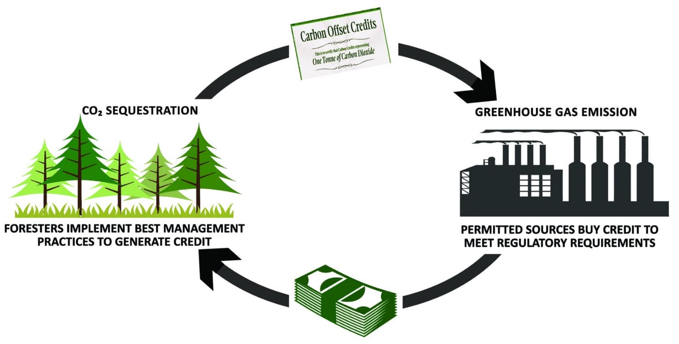 blockchain carbon credits