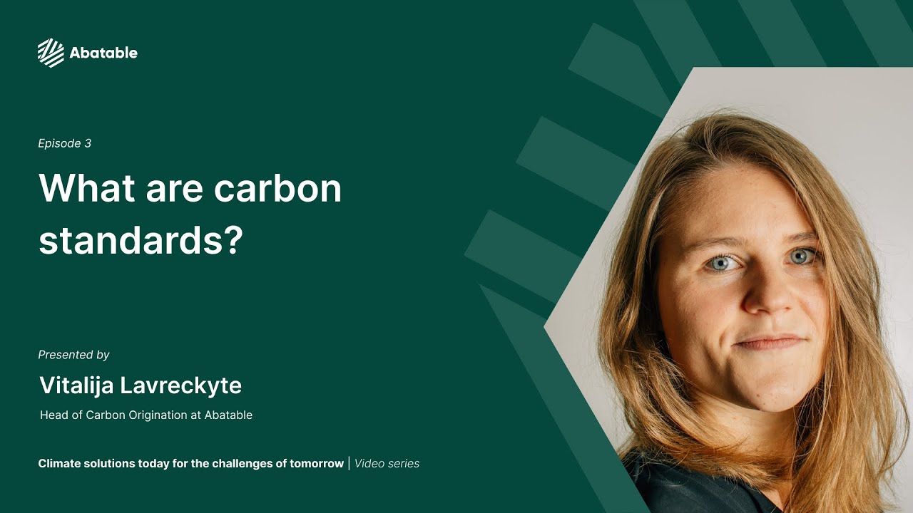 carbon credit standards arbitrage diagram Verra VCS Gold Standard